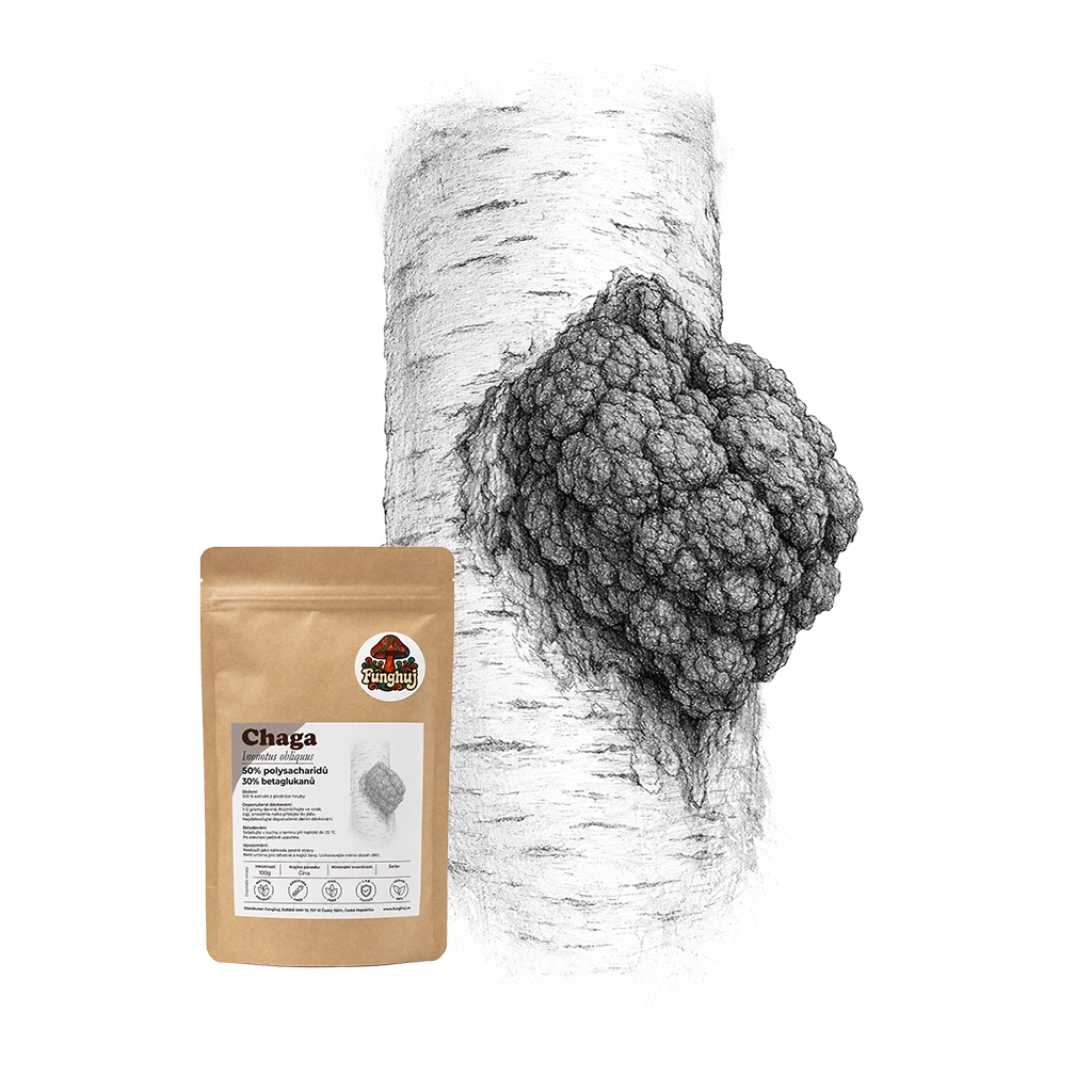 Extrakt z houby Chaga