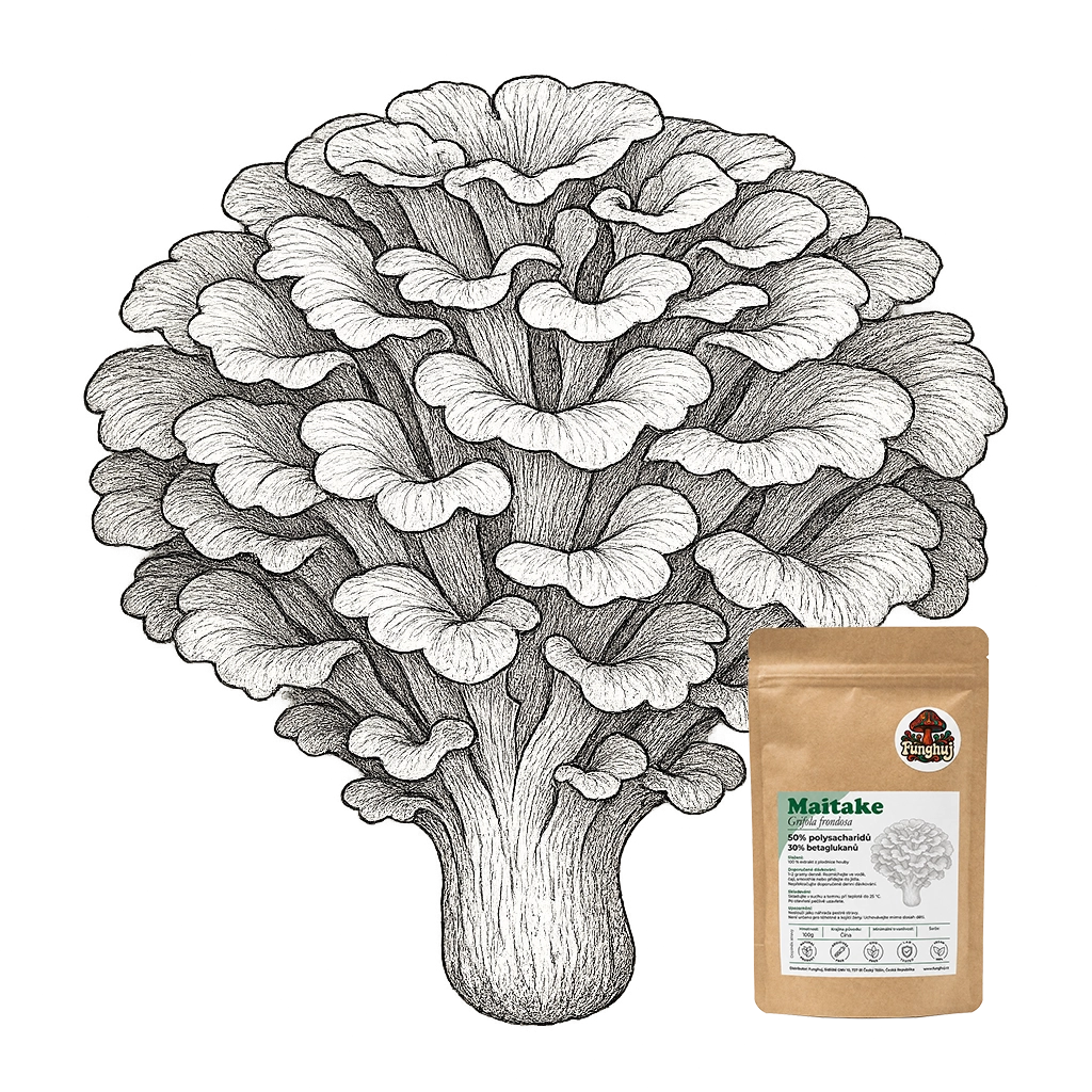 Extrakt z houby Maitake