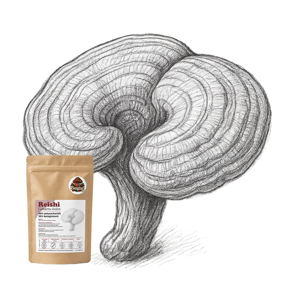 Extrakt z houby Reishi