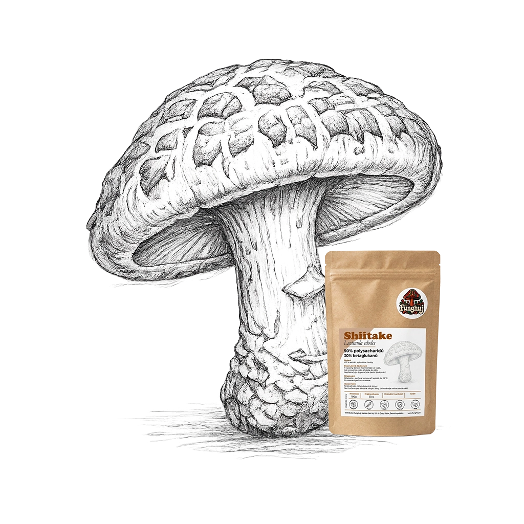 Extrakt z houby Shiitake
